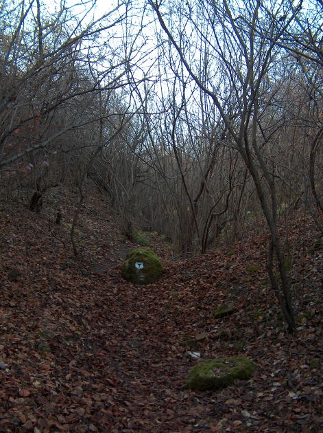kep_040f.jpg